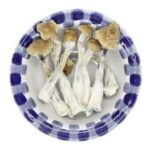Funghi magici amazzonici