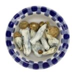 Funghi magici Enigma