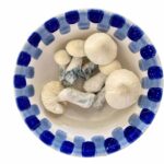 Funghi magici Enigma
