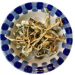 Funghi magici del dio azteco