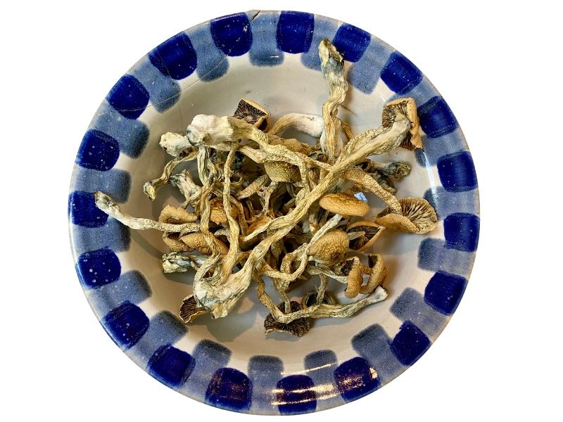 Funghi magici amazzonici